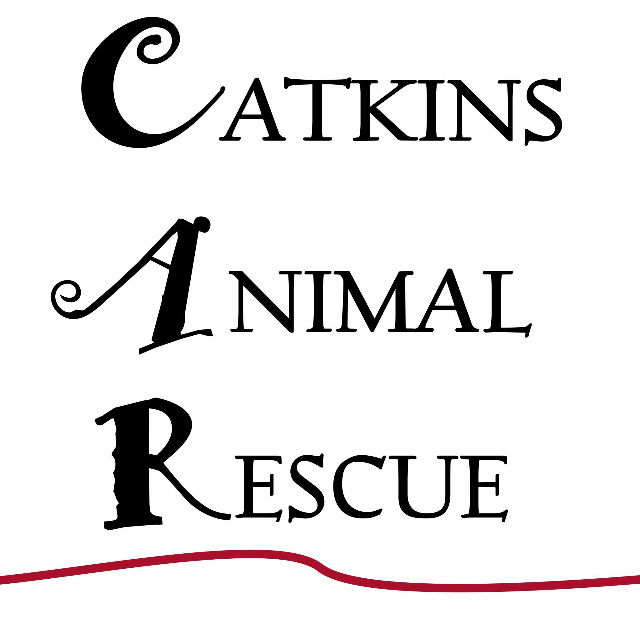 Logo for Catkins Animal Rescue