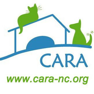 Organization's Logo