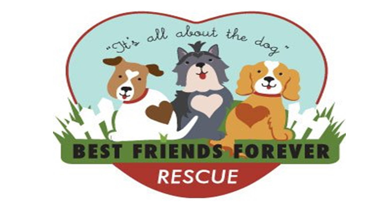 Logo for Best Friends Forever Rescue