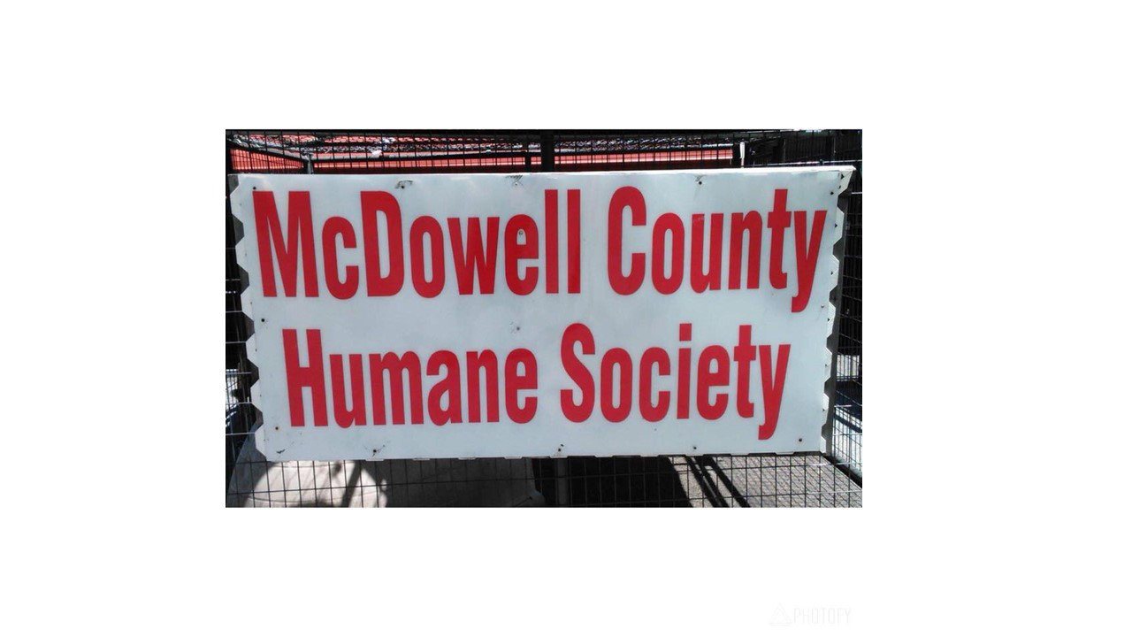 Logo for Mcdowell County Humane Society
