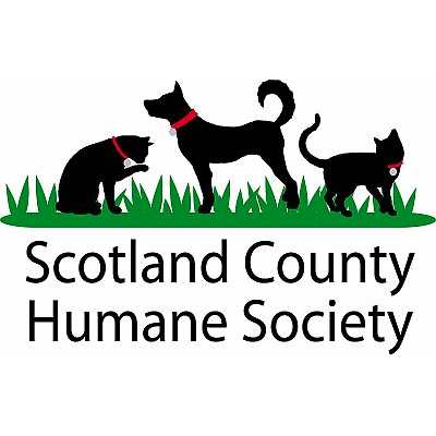 Organization's Logo