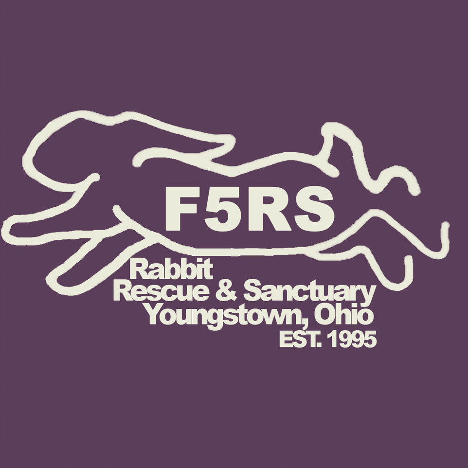 Organization's Logo