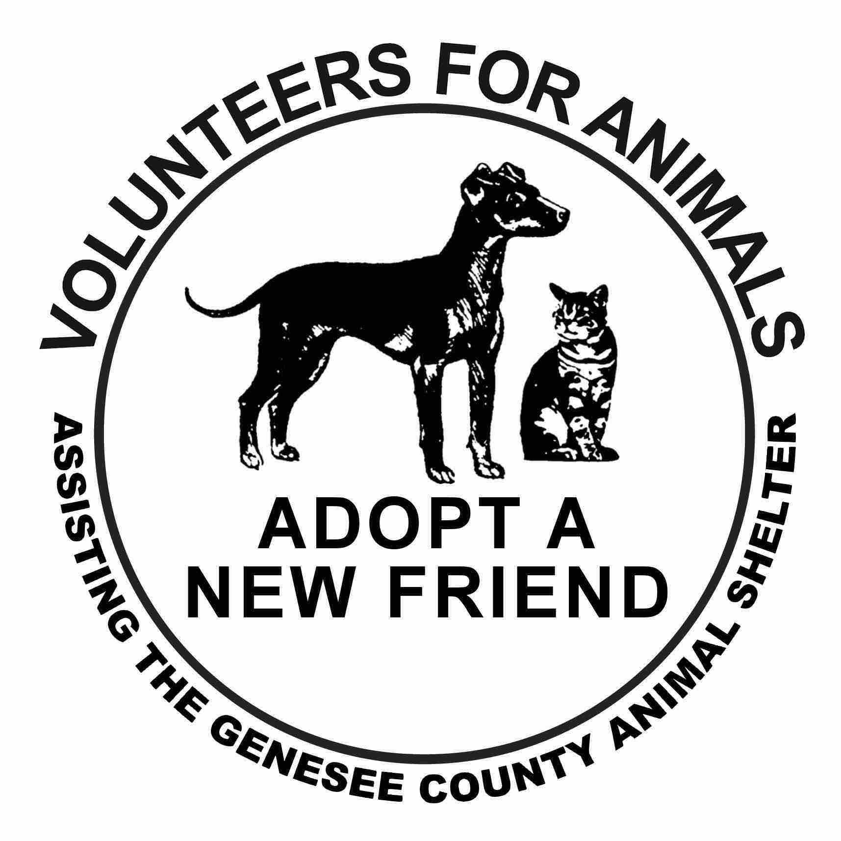 Logo for Volunteers For Animals