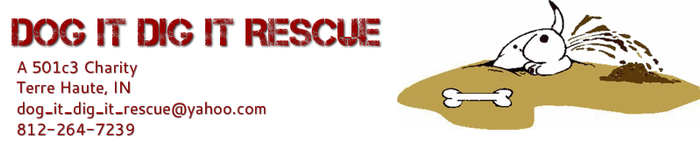 Logo for Dog It Dig It Rescue