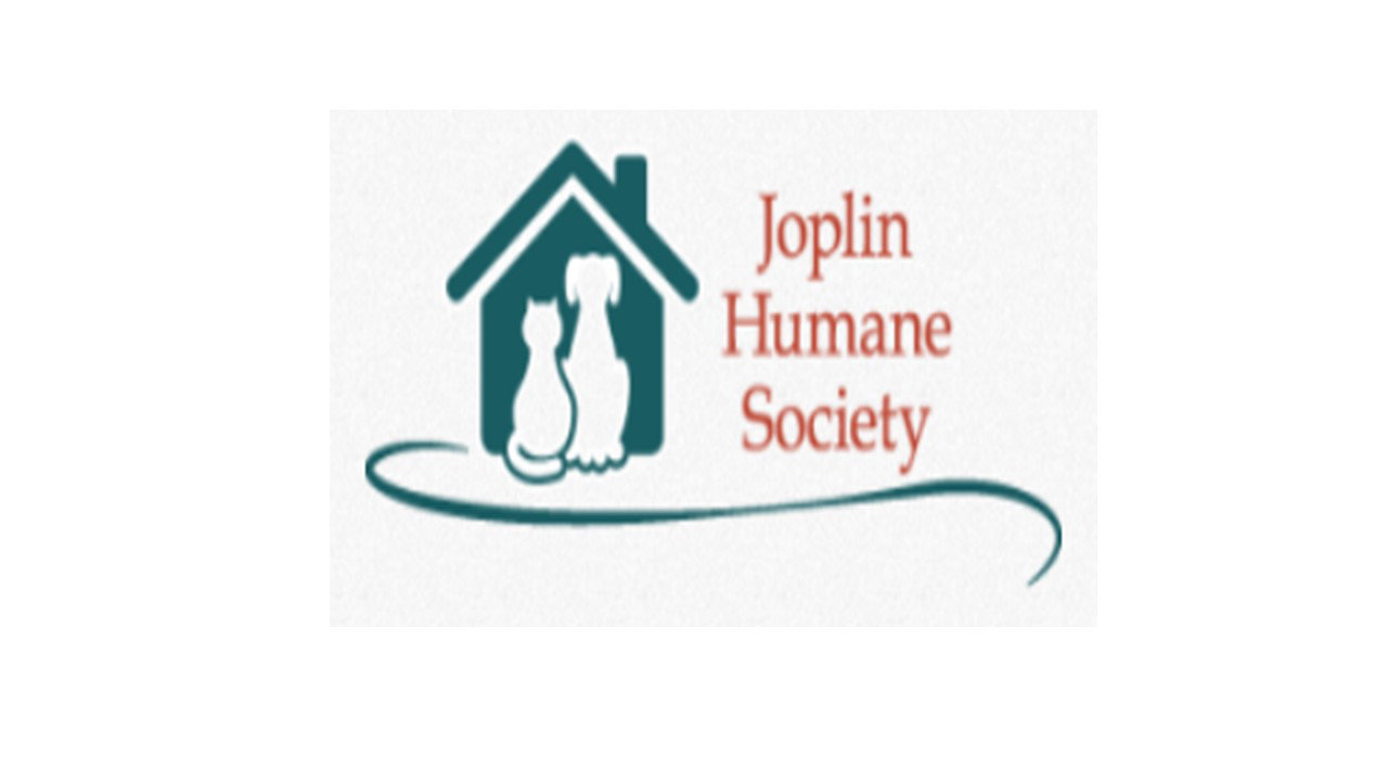 Organization's Logo