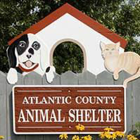 Logo for Atlantic County Animal Shelter