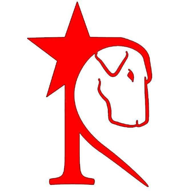 Logo for Rockstar Rescue