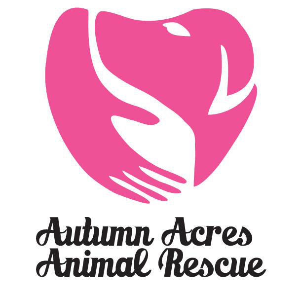 Organization's Logo