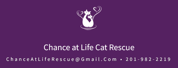 Logo for Chance At Life Cat Rescue