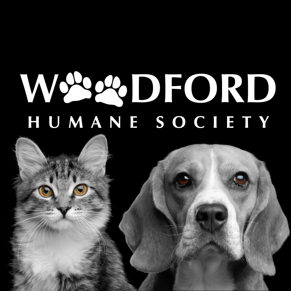Organization's Logo