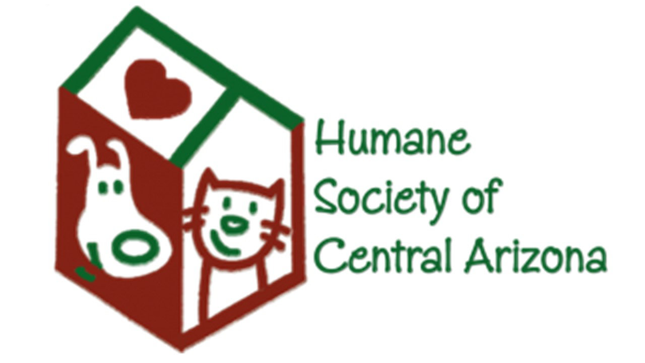 Organization's Logo