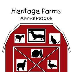 Organization's Logo