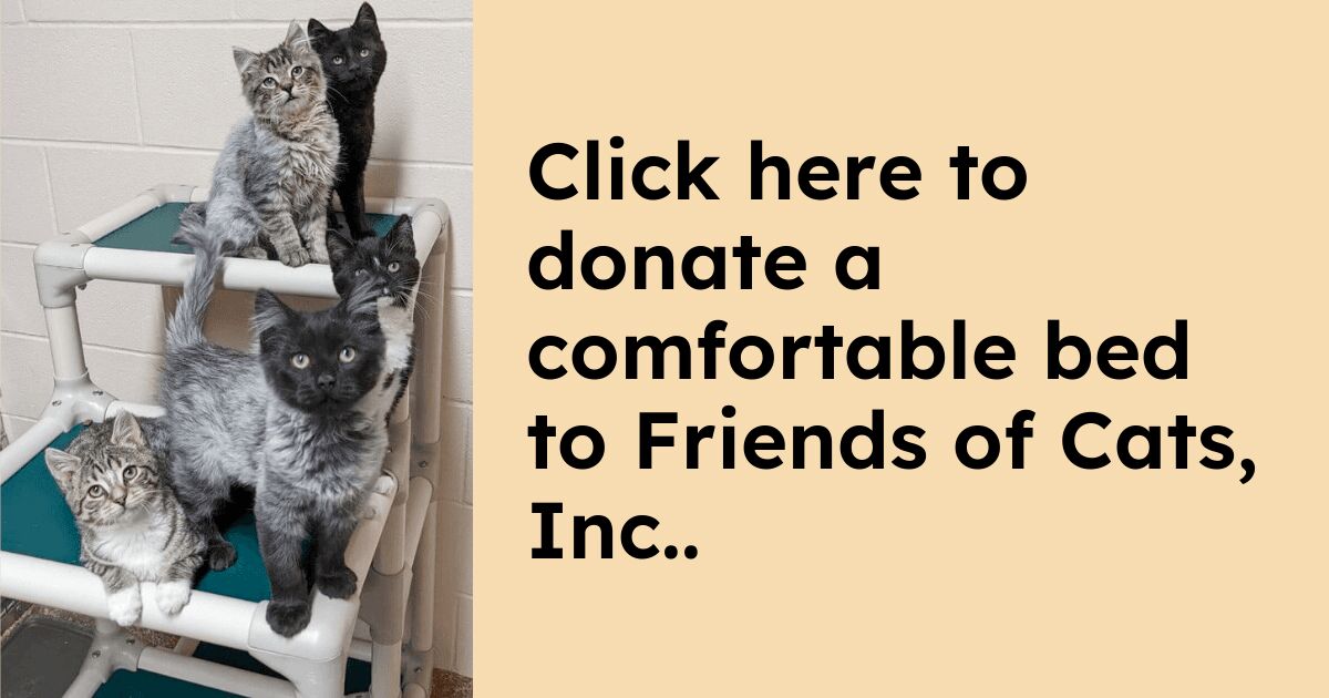 Donate to Friends of Cats, Inc. | Kuranda ShelterBeds