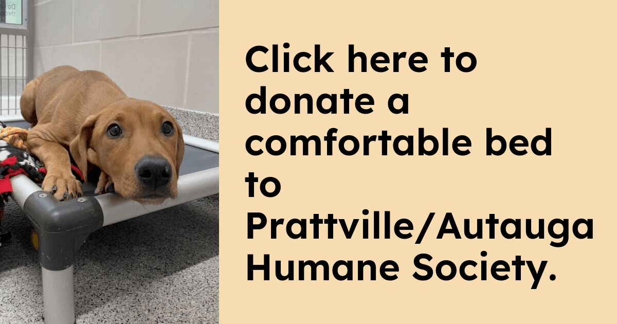 Donate to Prattville/Autauga Humane Society Kuranda ShelterBeds