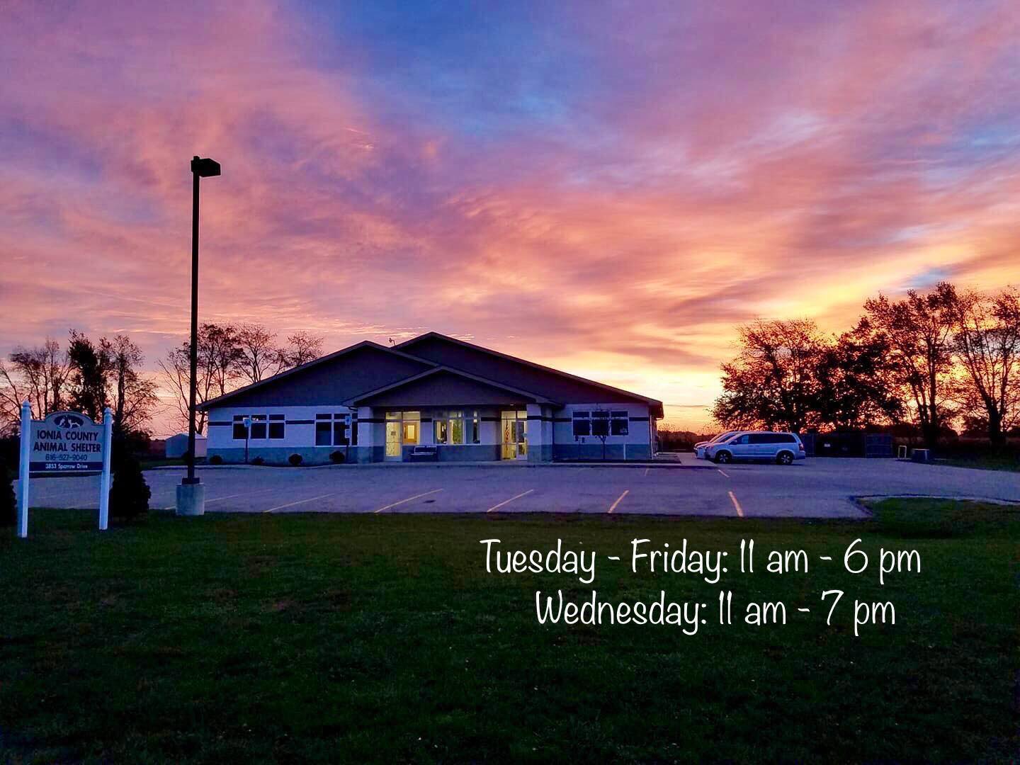 Donate to Ionia County Animal Shelter Kuranda ShelterBeds