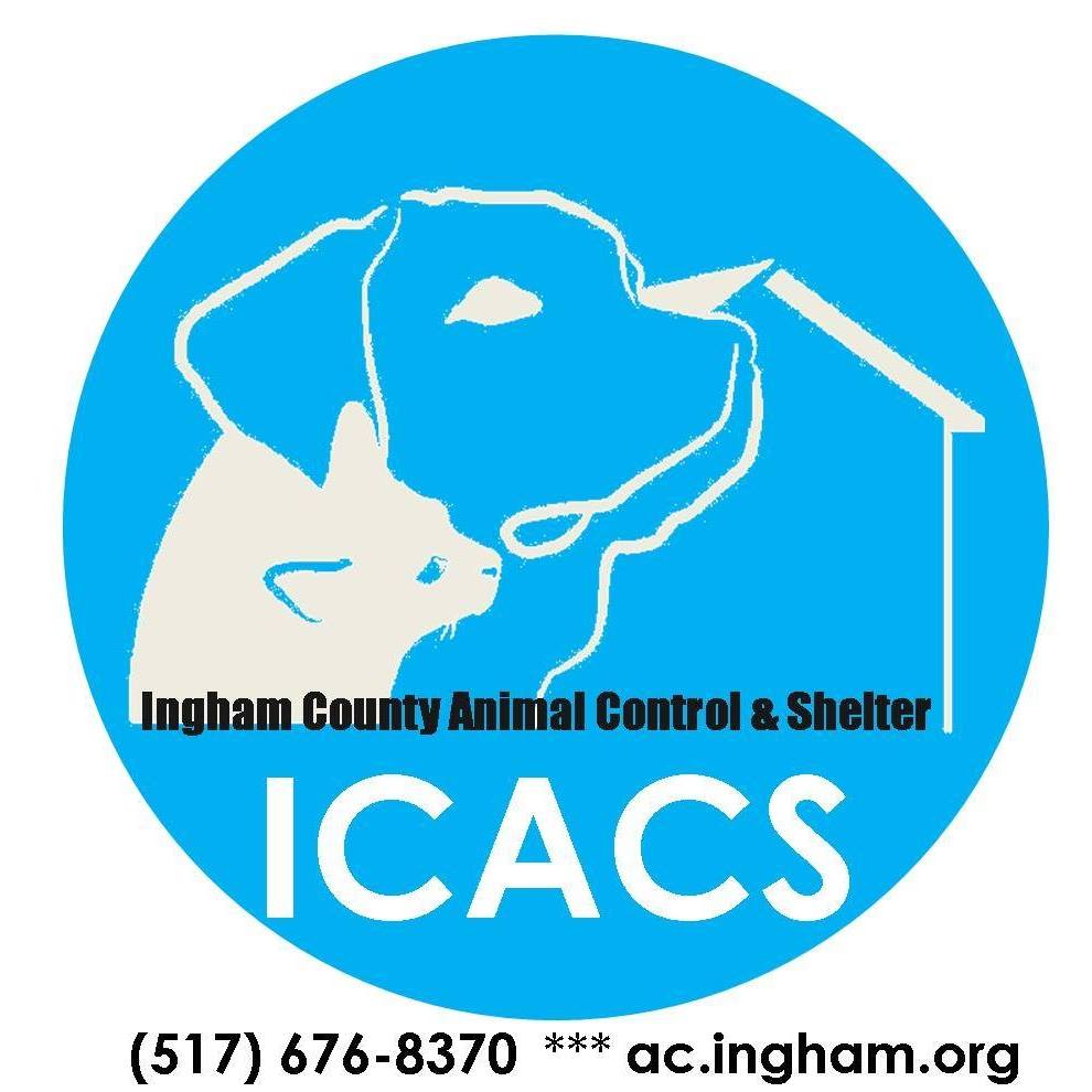 Donate to Ingham County Animal Control Shelter Kuranda ShelterBeds