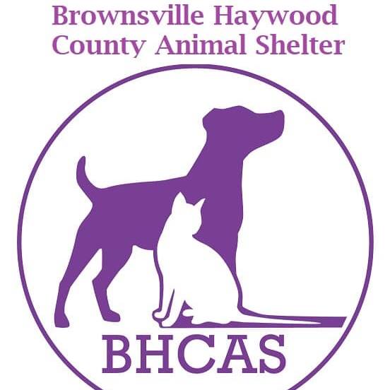Donate to Brownsville - Haywood County Animal Shelter | Kuranda ShelterBeds